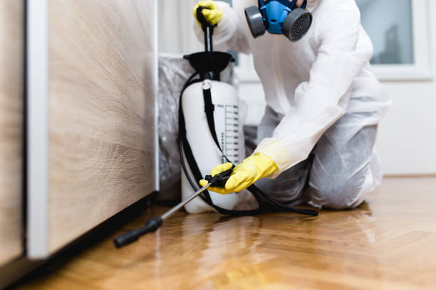 Best Wildlife Control Services  in St Paul, MO