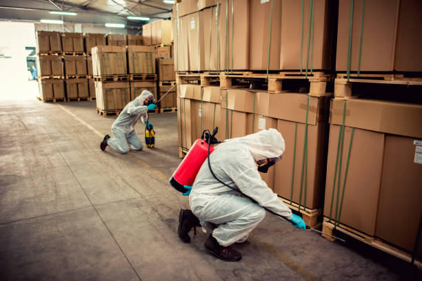 Best Wasp Removal Services  in St Paul, MO