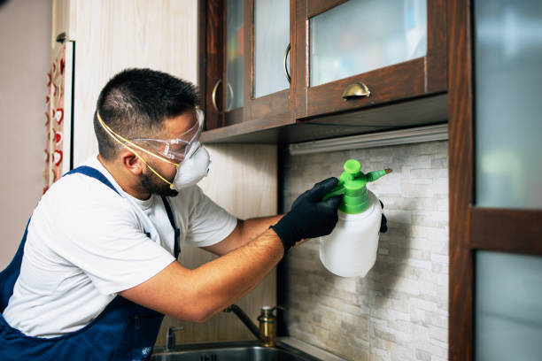Best Pest Inspection Near Me  in St Paul, MO
