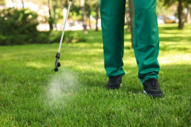 Best Insect Control  in St Paul, MO