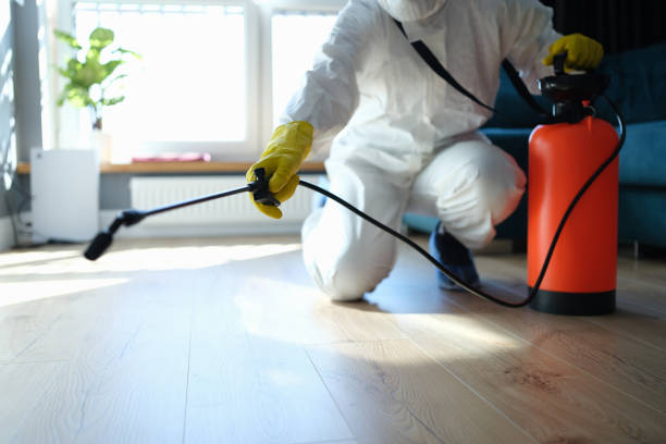 Best Flea Control Services  in St Paul, MO