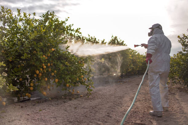 Best Exterminator Services  in St Paul, MO