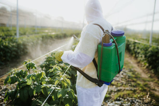 Flea Control Services in St Paul, MO